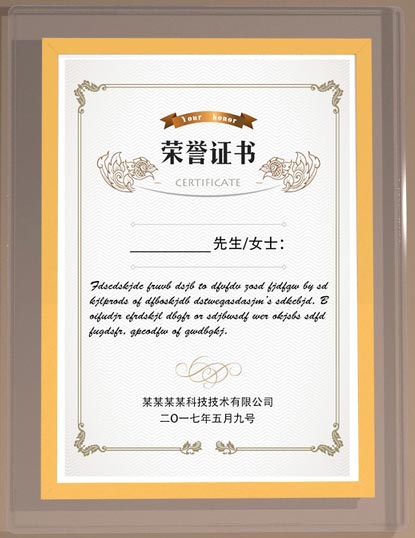 荣誉资质5
