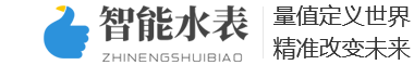 某某有限公司