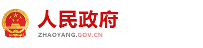 (演示站)政府协会类网站模板 红色风格政府网站源码
